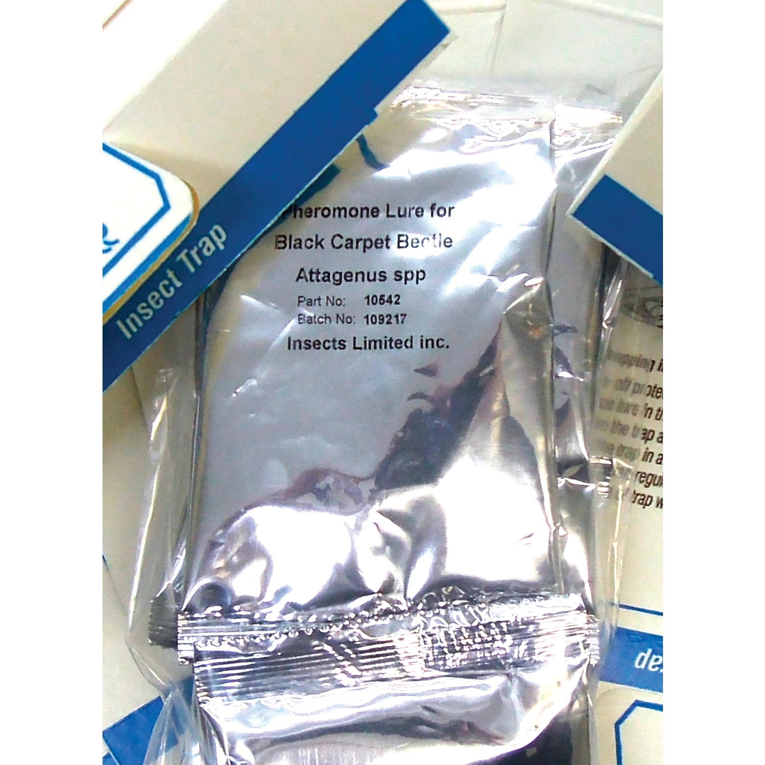 Black Carpet Beetle Pheromone Lures (10-Pack) 1 Black Carpet Beetle Pheromone Lures (10-Pack)