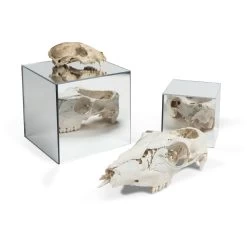 Mirrored Acrylic Display Cube