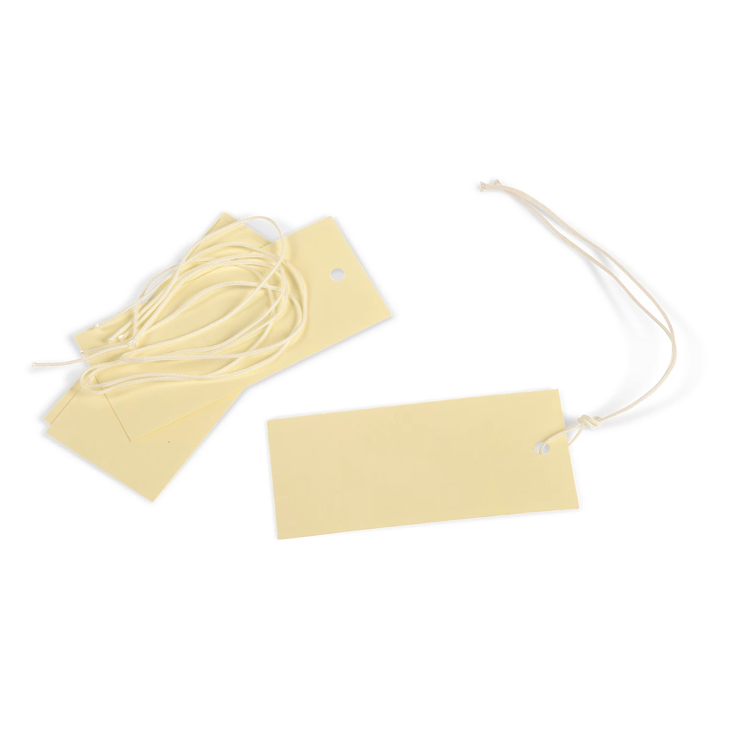 Gaylord Archival® 10 Pt. Folder Stock Artifact Tags (100-Pack) 2 Gaylord Archival® 10 Pt. Folder Stock Artifact Tags (100-Pack) - Image 2