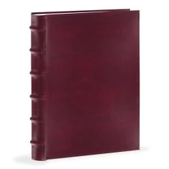 Pioneer® 300-Capacity Bonded Leather Photo Album -Storage protective equipment C2A0CLB346 BR