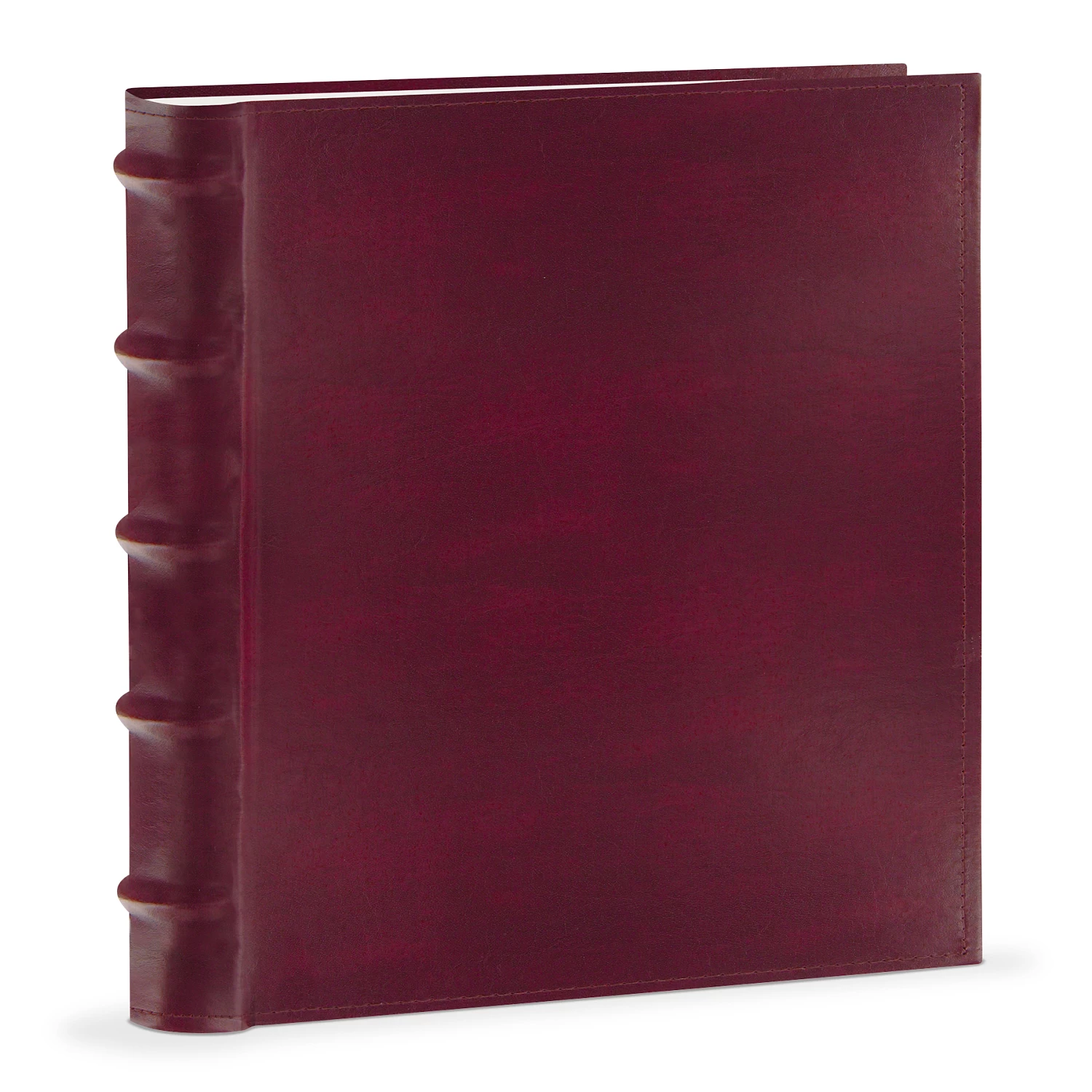 Pioneer® 200-Capacity Bonded Leather Photo Album 1 Pioneer® 200-Capacity Bonded Leather Photo Album