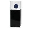 Gaylord Archival® Curator Podium Museum Case With Pedestal Base