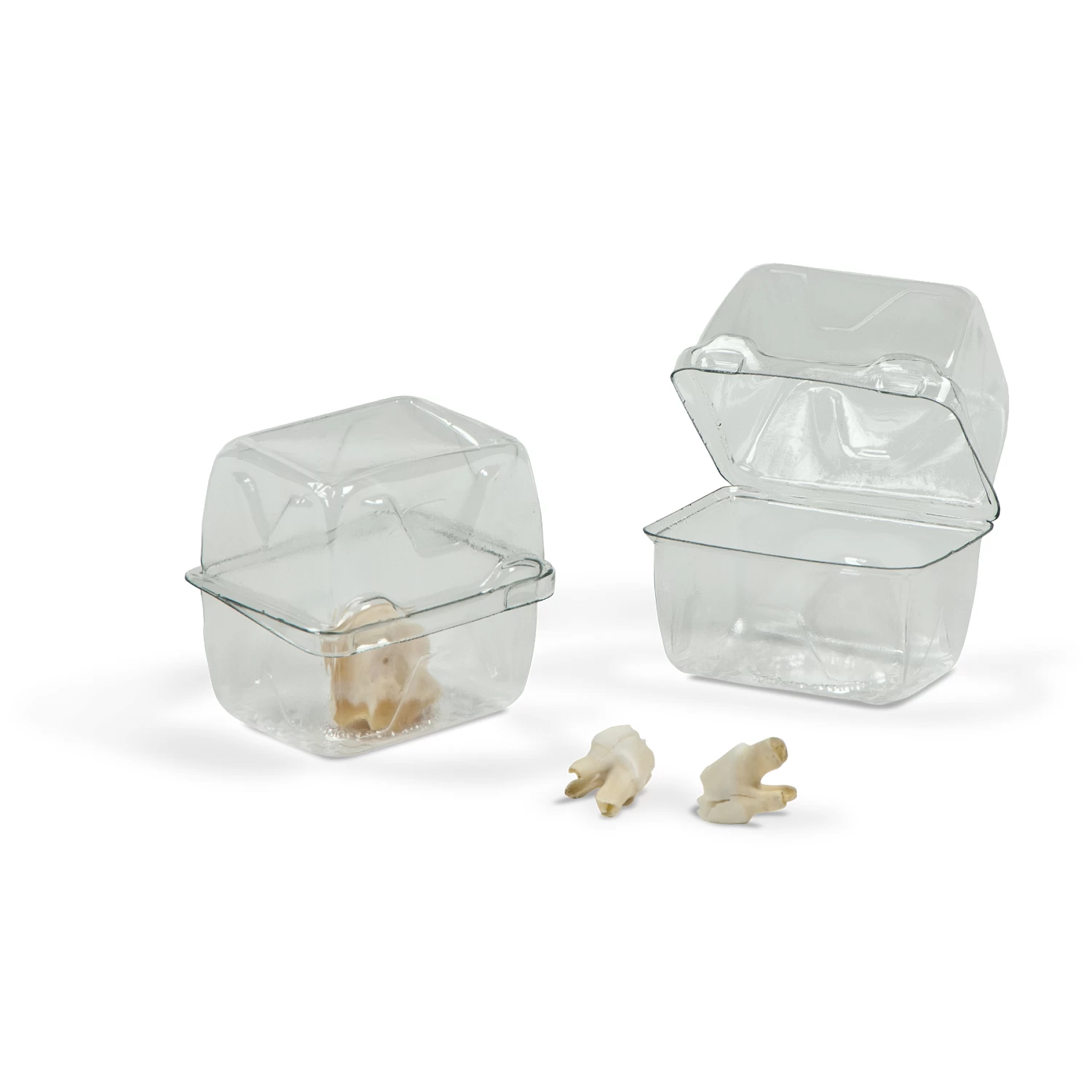Gaylord Archival® Clear PET Clamshell Dome Lid Boxes (350-Pack) 1 Gaylord Archival® Clear PET Clamshell Dome Lid Boxes (350-Pack)