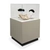 Gaylord Archival® Sapphire Square Painted Pedestal Case