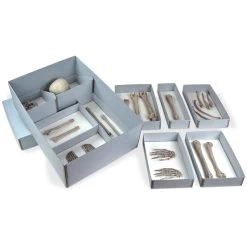 Gaylord Archival® Skeletal Remains Storage Kit