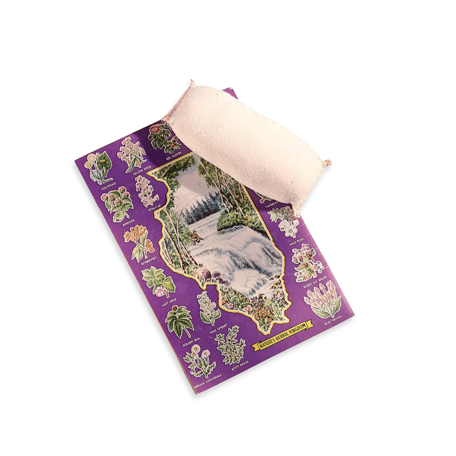 Document Cleaning Pad 1 Document Cleaning Pad