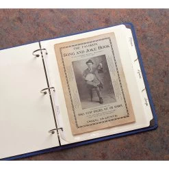 Gaylord Archival® 10 Pt. Folder Stock 9 1/2 X 11 1/2" Album Dividers (24-Pack)