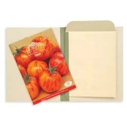 Gaylord Archival® Envelope Binders (10-Pack)