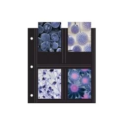 Print File® 8-Pocket Black 3-Hole Punched Album Pages (25-Pack)