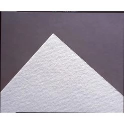 Unbuffered Blotting Paper (100-Pack)