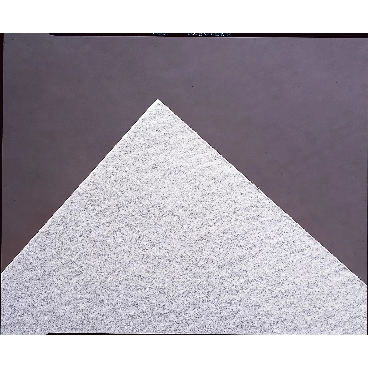 Unbuffered Blotting Paper (10-Pack) 1 Unbuffered Blotting Paper (10-Pack)